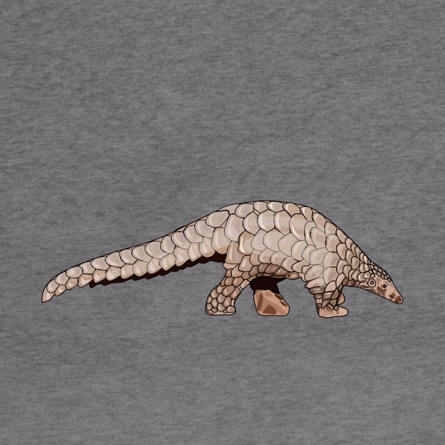 Pangolin cartoon illustration by Miss Cartoon